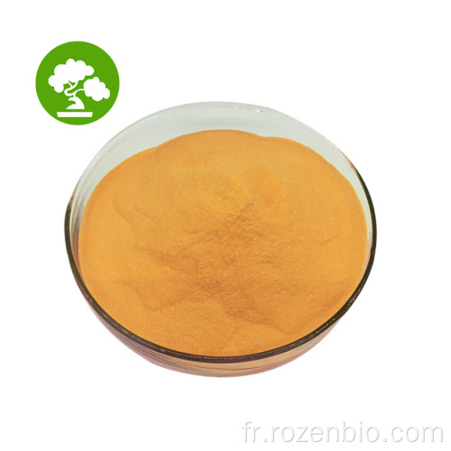 Coenzyme de haute qualité Q10 Powder Q10 Coenzyme